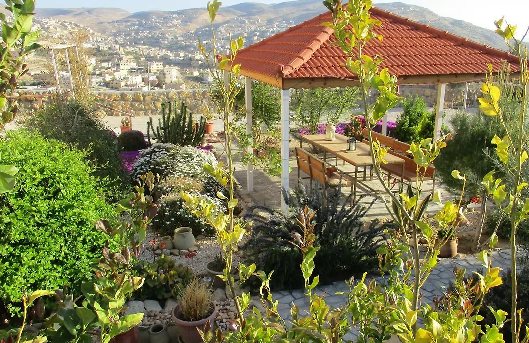Petra Bed&Breakfast-1