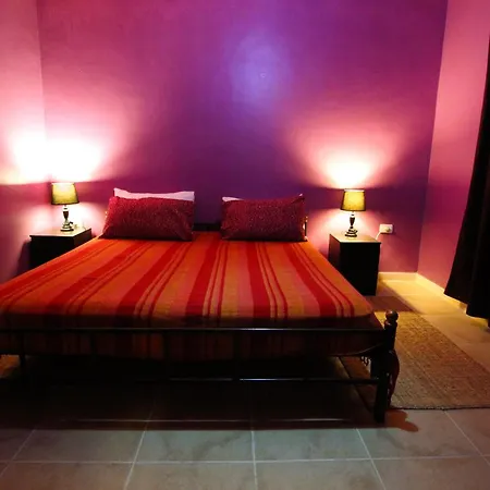 Petra Bed & Breakfast-3